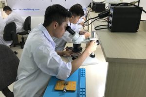 Gio thu hanh ep kinh smartphone viendidong